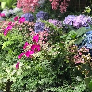 Meet your Posher, Cohen